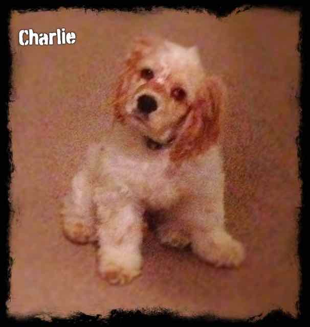Charlie