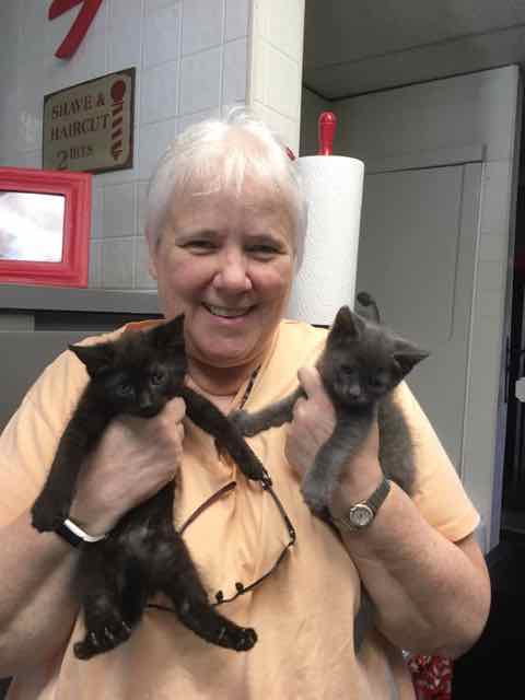 Dylan (gray) and Riley (black)