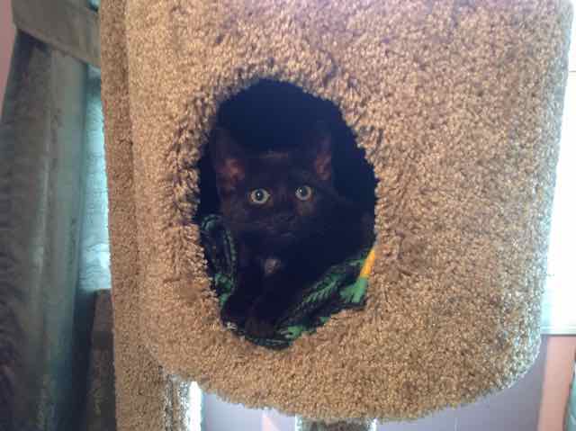 Holly (now Esmerelda)