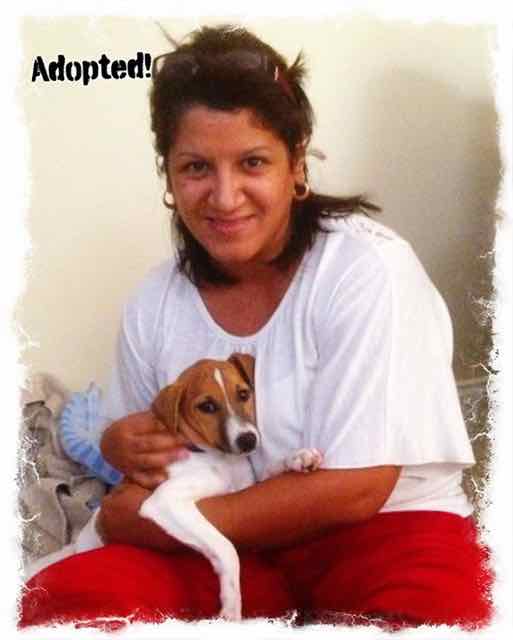 Snickers (now Nitro)