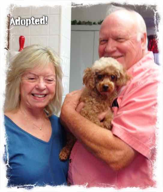 Sweetie (a/k/a Sweet Pea)