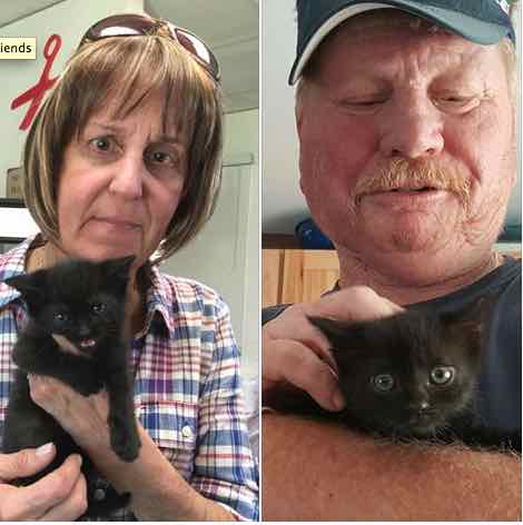 Sybil (now Charcoal)