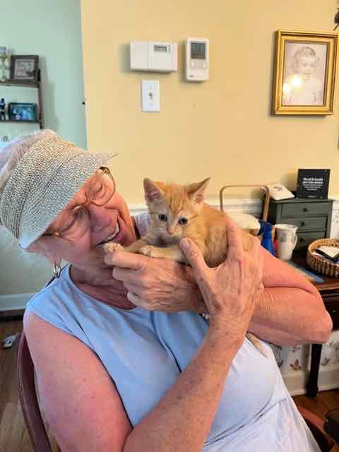 Tango (now Franklin)